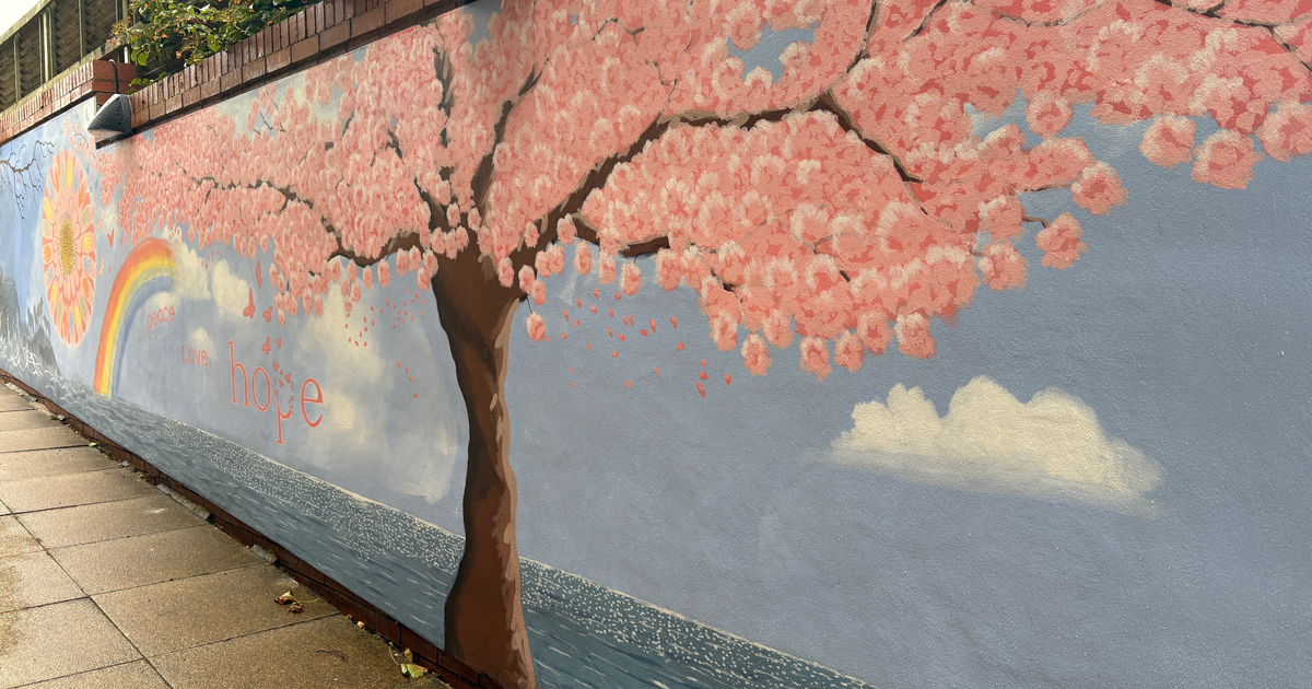 Memorial playground unveiled to Southport attack victims' classmates