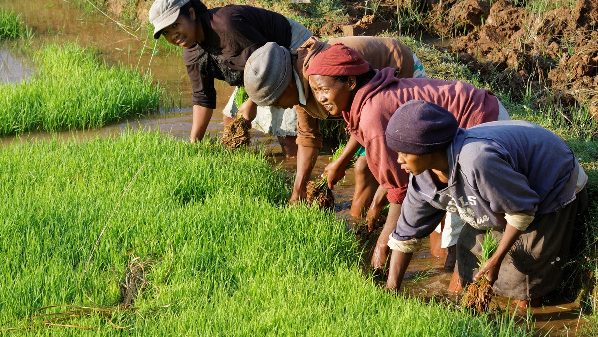 Madagaskar: śmierć amerykańskiego dyplomaty