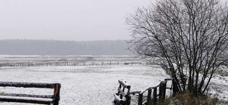 Licytacja majątku syna Leppera. Zabrakło chętnych na zakup dwóch działek