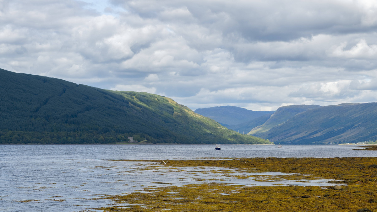 Do tragedii doszło 18 stycznia na wodach Loch Fyne w Szkocji. Z nieznanego powodu kuter rybacki przewrócił się, zabierając ze sobą na dno Przemysława Krawczyka oraz Duncana MacDougalla. Teraz rodziny zmarłych walczą o godny pochówek swoich bliskich.