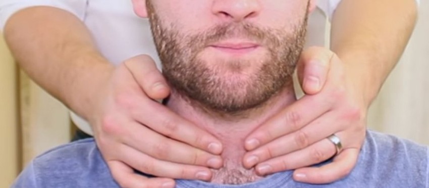 Štitna žlezda, ilustracija