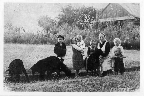 Wiktoria z dziećmi, od lewej: Władzio, Stasia z Marysią na rękach, Franuś na baranku i Basia z Antosiem. Jesień 1943 r.