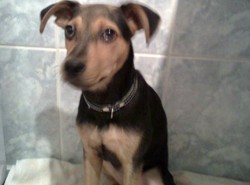 Oddamy malucha za naszą Tinę