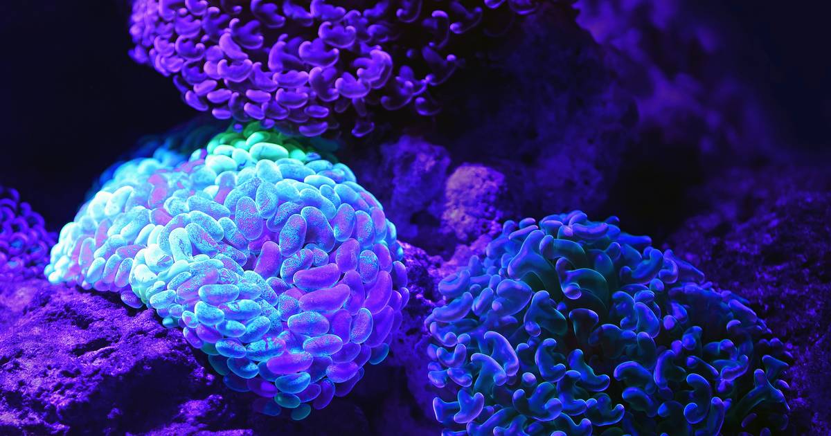 Krótki quiz z wiedzy ogólnej. Nie jest najtrudniejszy, ale łatwy też nie