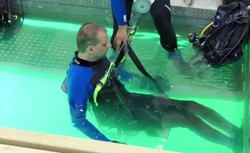 "Jedyny taki obiekt na świecie". W Pile powstała specjalna platforma dla niepłenosprawnych