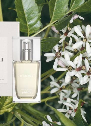 Perfumy, dzięki którym będziesz pachniała cytrusami i białym
