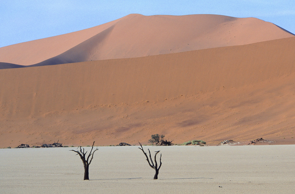 Dead Vlei