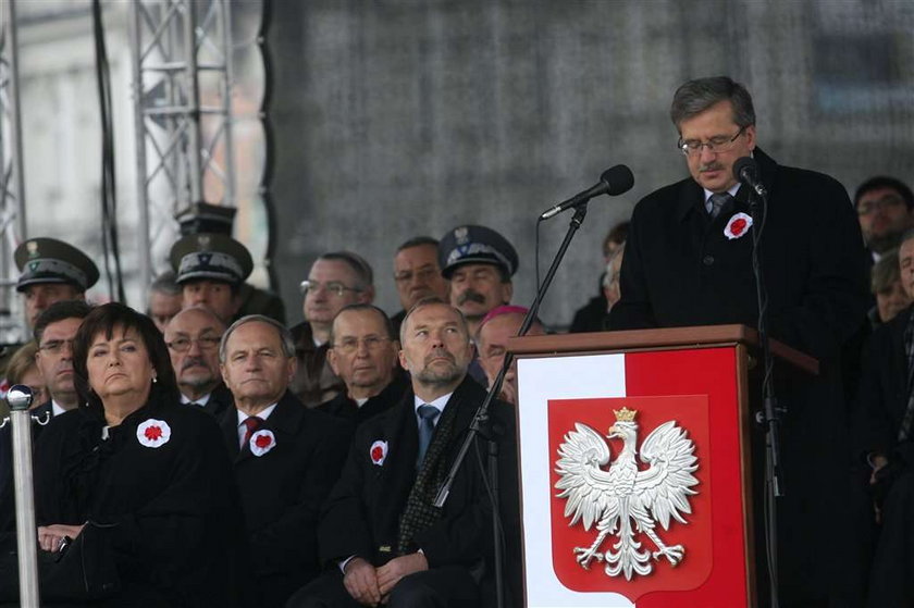 Który kotylion jest prawidłowy