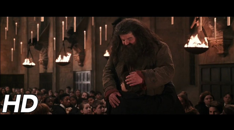 A Harry Potter filmek Hagridja 72 éves volt /Fotó: YouTube 
