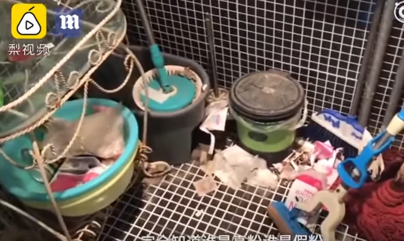 Nered koji je u stanu influenserka ostavila za sobom 