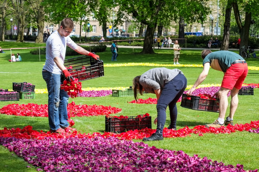 Kwiatowe dywany w parku im. Adama Mickiewicza