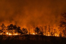 Pożary lasów w państwach Unii Europejskiej. Rok 2025 pobił rekordy