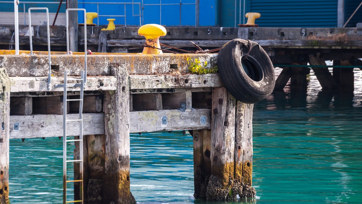 Siedem osób zginęło w wypadku łodzi rybackiej, do którego doszło w sobotę (czasu lokalnego) w kanale portowym Kaipara znajdującym się niedaleko miasta Auckland w Nowej Zelandii - poinformowały źródła policyjne. Wciąż trwają poszukiwania jednej osoby.