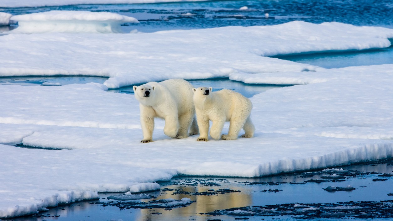Situácia v Arktíde sa zhoršuje.