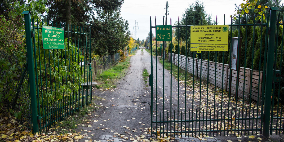 Ogródki działkowe zostaną przeniesione na Krzesiny