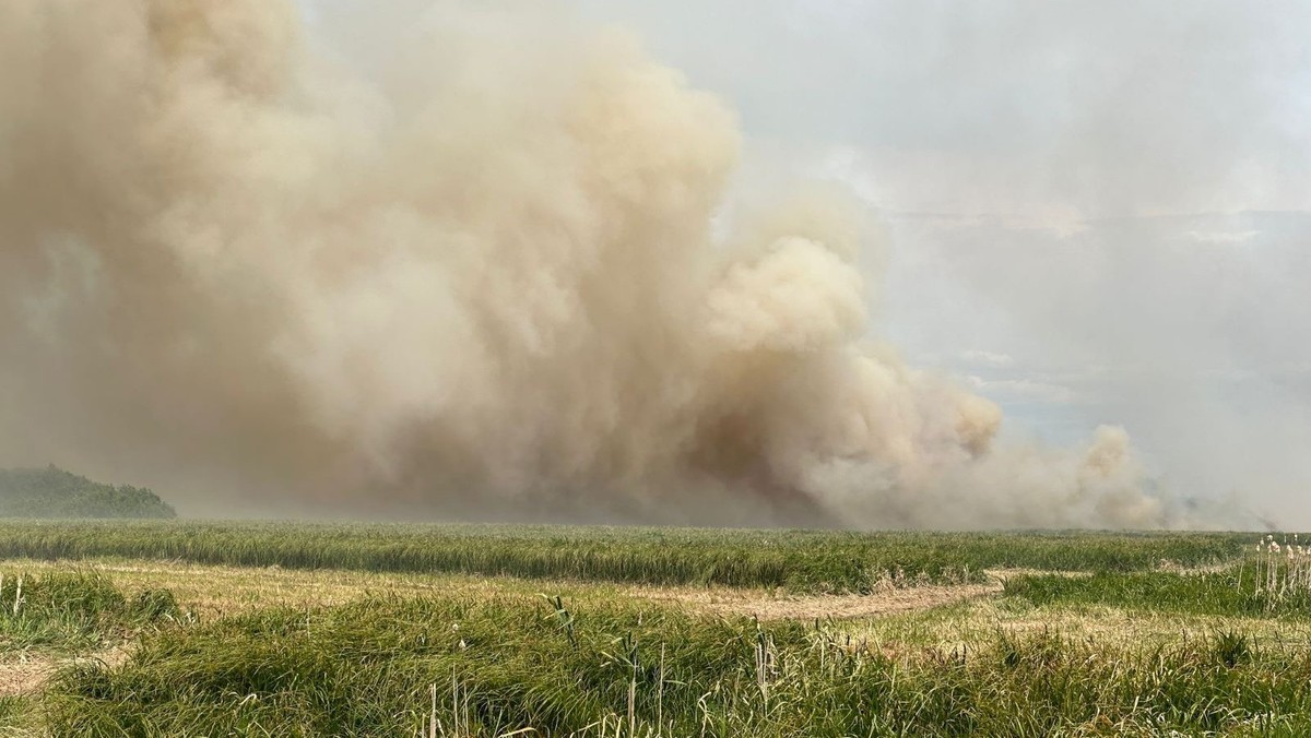 Wielki pożar nad Biebrzą. W akcji dromadery i śmigłowiec strażacki