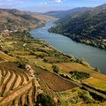 Dolina Douro – najcenniejsze winnice Portugalii w jesiennych kolorach