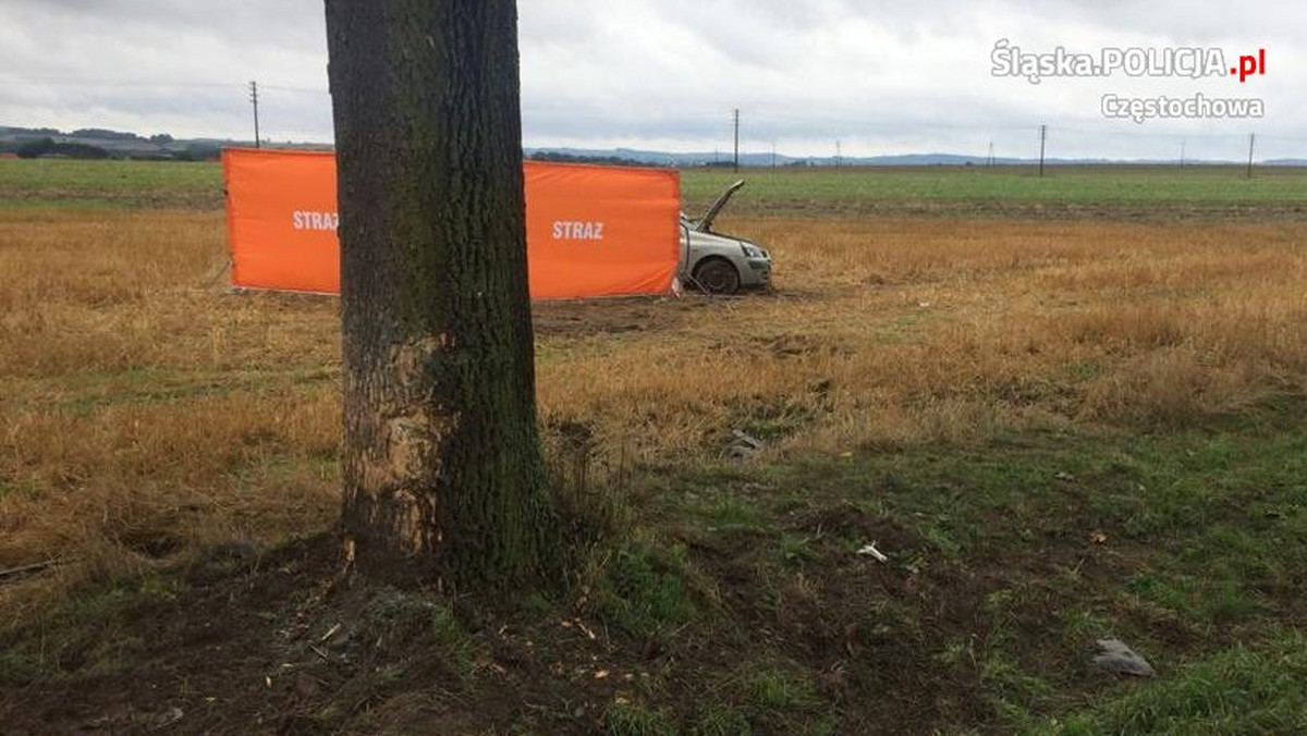 Dwie osoby - 77-letnia kobieta i 79-letni mężczyzna – zginęli w środę w wypadku na drodze krajowej nr 46 w Lelowie (województwo śląskie). Byli pasażerami samochodu, który prowadził ich 22-letni wnuk.