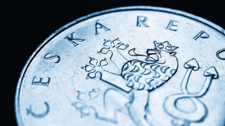 Duży spadek inflacji w Czechach. Rząd znalazł pomysł na spowolnienie wzrostu cen