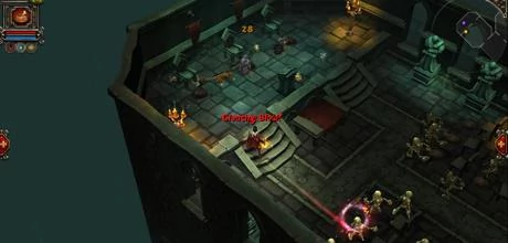 Screen z gry "Torchlight"