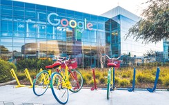 Google zdradza, czego szukali Amerykanie w wyborczą noc