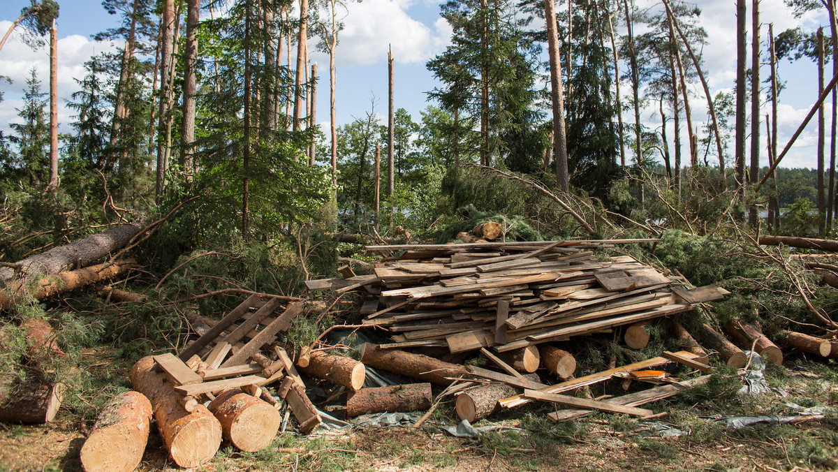 Jak wykazały wstępne wyniki kontroli obozów namiotowych, zorganizowanych przez Pomorskie Kuratorium Oświaty, wszystkie dzieci wypoczywające w woj. pomorskim są bezpieczne. Żaden organizator nie potrzebuje pomocy - poinformowała dziś pomorska kurator oświaty Monika Kończyk.