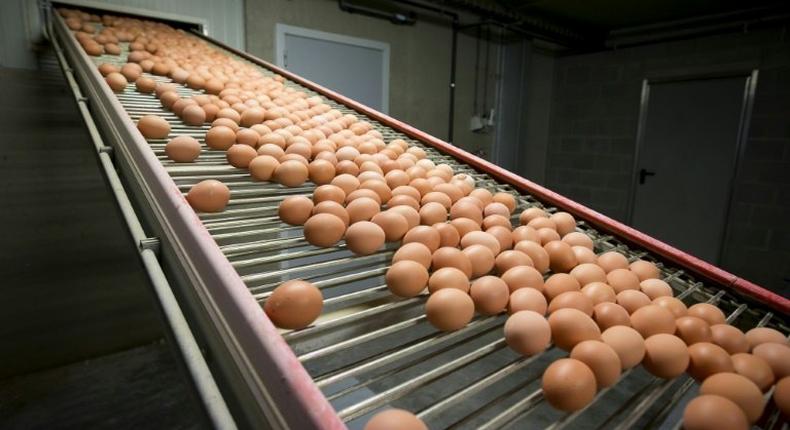 At least 11 countries in Europe have found eggs contaminated with the chemical fipronil since the scare emerged on August 1