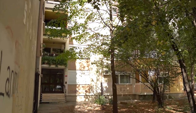 Maja Ognjenović, emisija "Metar moga sela"