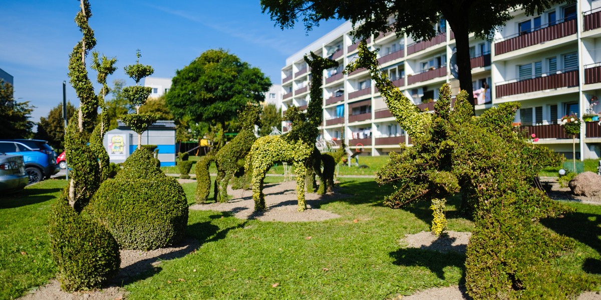 Piękny ogród z niezwykłymi topiarami powstał na osiedlu w Żorach