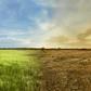 Landscape of meadow field with the changing environment