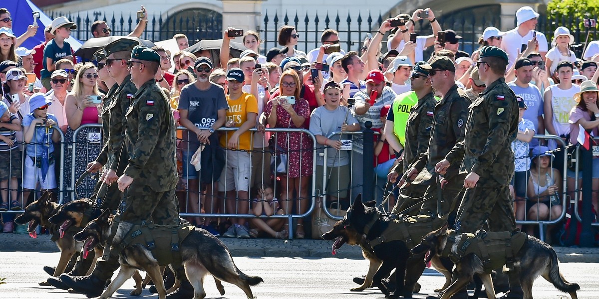 Psy na defiladzie wywołały awanturę.