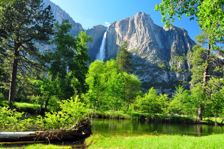 Park Narodowy Yosemite – kolejny amerykański park narodowy. Położony jest w środkowej Kalifornii, na zachodnich zboczach gór Sierra Nevada. Park Yosemite jest znany na całym świecie ze względu na gigantyczny las sekwoi. Yosemite jest poprzecinamy poprzez liczne wąwozy, rzeki oraz wodospady.