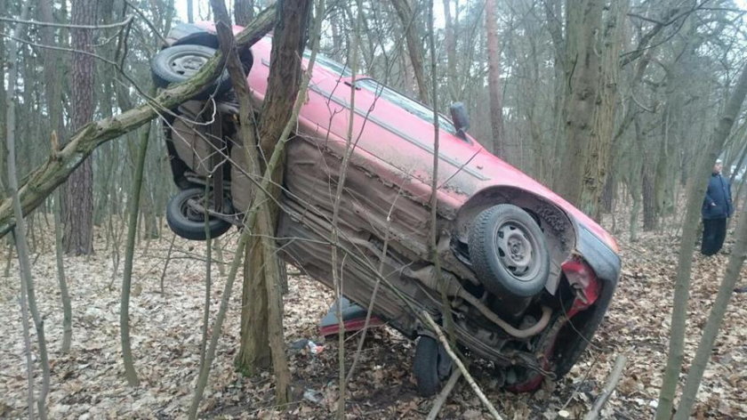 Auto wylądowało w lesie