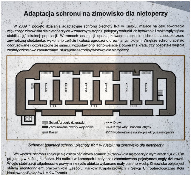 Fortyfikacje Twierdzy Chełmno