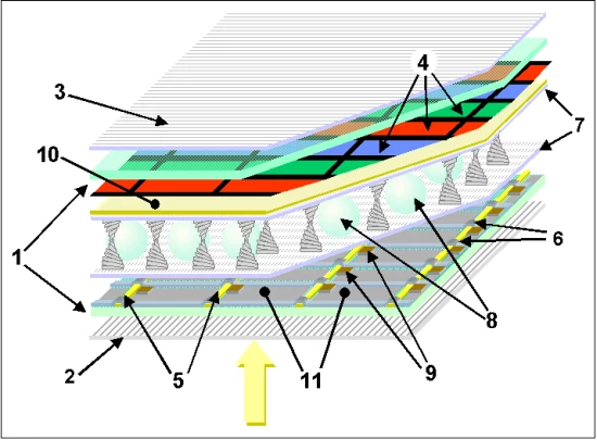 Przekrój przez strukturę wyświetlacza TFT LCD. Oznaczenia: 1 – szklane płytki, 2 i 3 – polaryzatory, 4 – kolorowe filtry, 5 i 6 – linie sygnałowe, 7 – warstwa polimerów, 8 – elementy dystansowe, 9 – tranzystory TFT, 10 – przednia elektroda, 11 – tylna elektroda