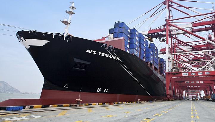 Kontenerowiec wyprodukowany dla singapurskiego koncernu APL mierzy 368 metrów długości oraz 51 metrów szerokości, a jego pojemność to 151 tys. ton. Obecnie statek pływa we flocie Neptune Orient Lines (NOL). Temasek charakteryzuje się stosunkowo niski zużyciem paliwa i jest uznawany z jeden z najbardziej 'ekologicznych' kontenerowców na świecie.