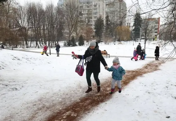 W Krakowie szukają fusów z kawy, żeby posypywać alejki