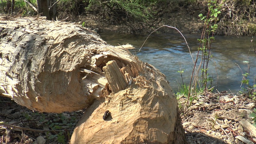 Muke za žitelje sela Komirić