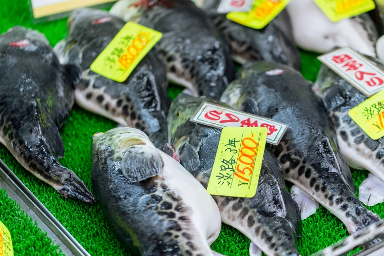 Japończycy kochają ryby