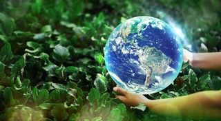 Trwa nabór wniosków w konkursie Eco-Miasto 2024. Jakie nagrody można zdobyć?