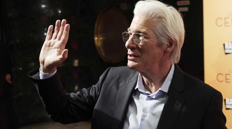 Richard Gere / Fotó: Northfoto