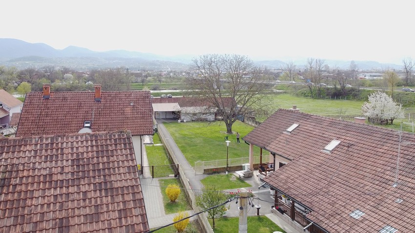 Najveći orah na Balkanu raste u Ljubić polju