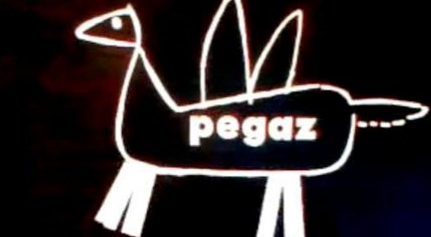 Program Pegaz