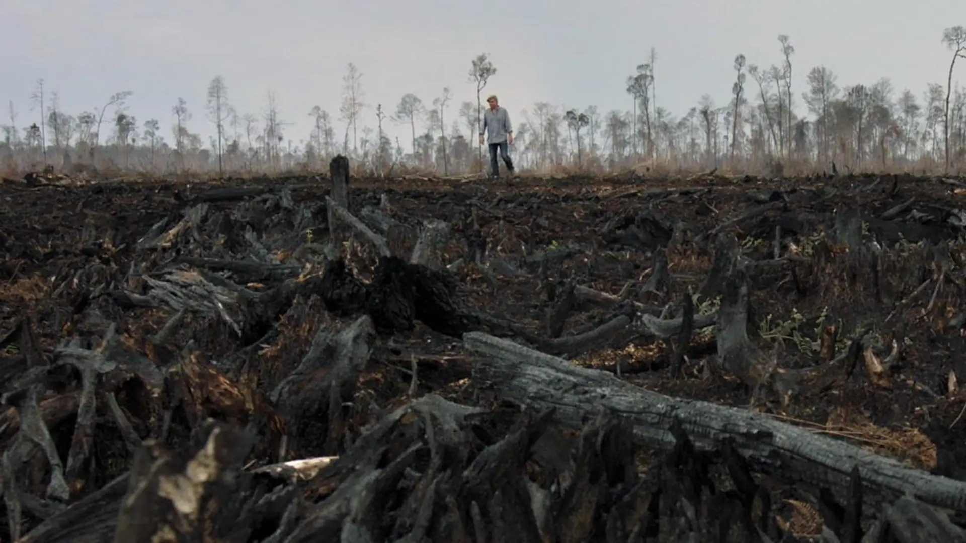 Czyste środowisko i stabilny klimat to prawo człowieka. Rozmowa z dyrektorem festiwalu WATCH DOCS