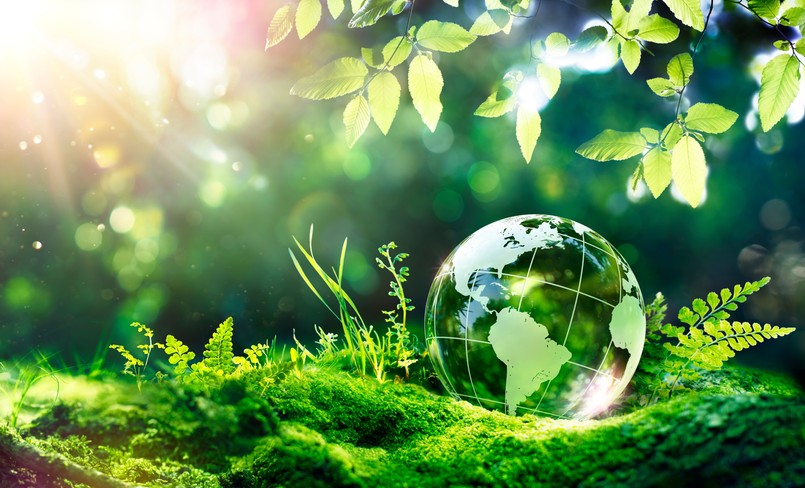 Quiz biologia przyroda natura edukacja przyrodnicza ziemia planeta Earth,Day,-,Environment,-,Green,Globe,In,Forest,With