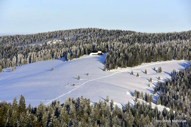 Szlak na Turbacz (1310 m n.p.m.) — najwyższy szczyt Gorców