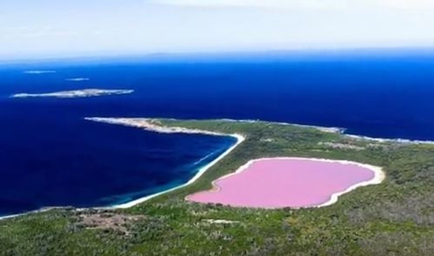 Roze jezero, Australija