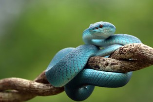 Owoce zatrutego drzewa. Sejm pracuje nad zmianami w procesie postępowania karnego