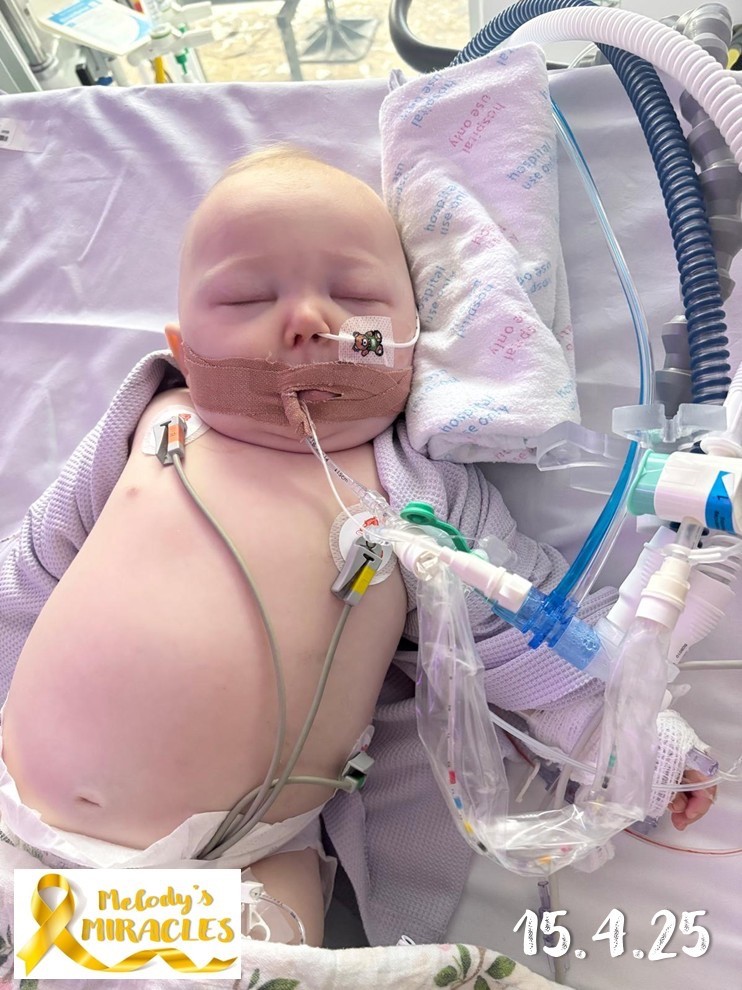 Melody trpí rakovinou bielych krviniek.