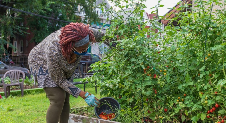 The city of Philadelphia has some 450 urban farms and gardens.Five Loaves Two Fish